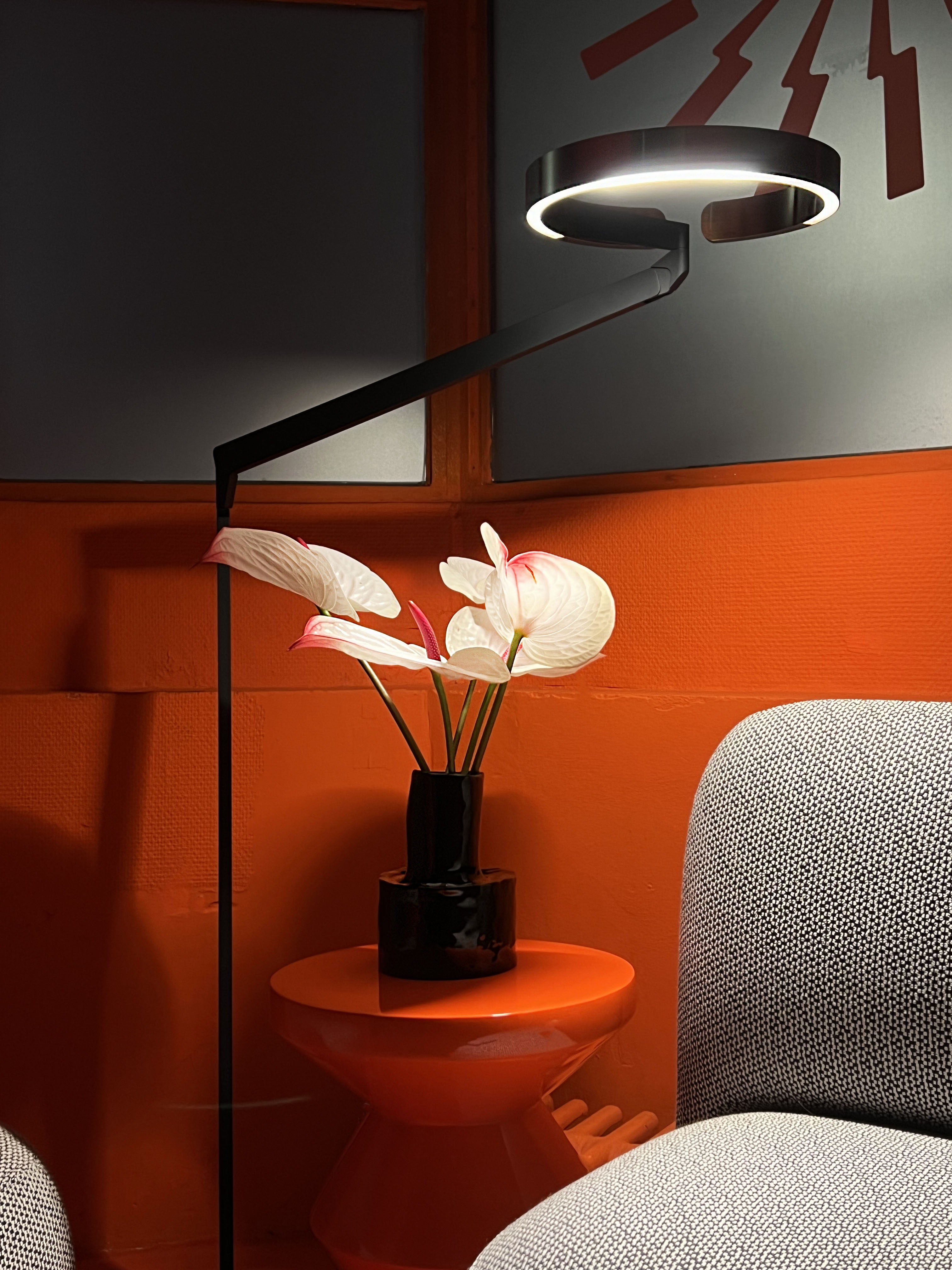 A cared-for studio space