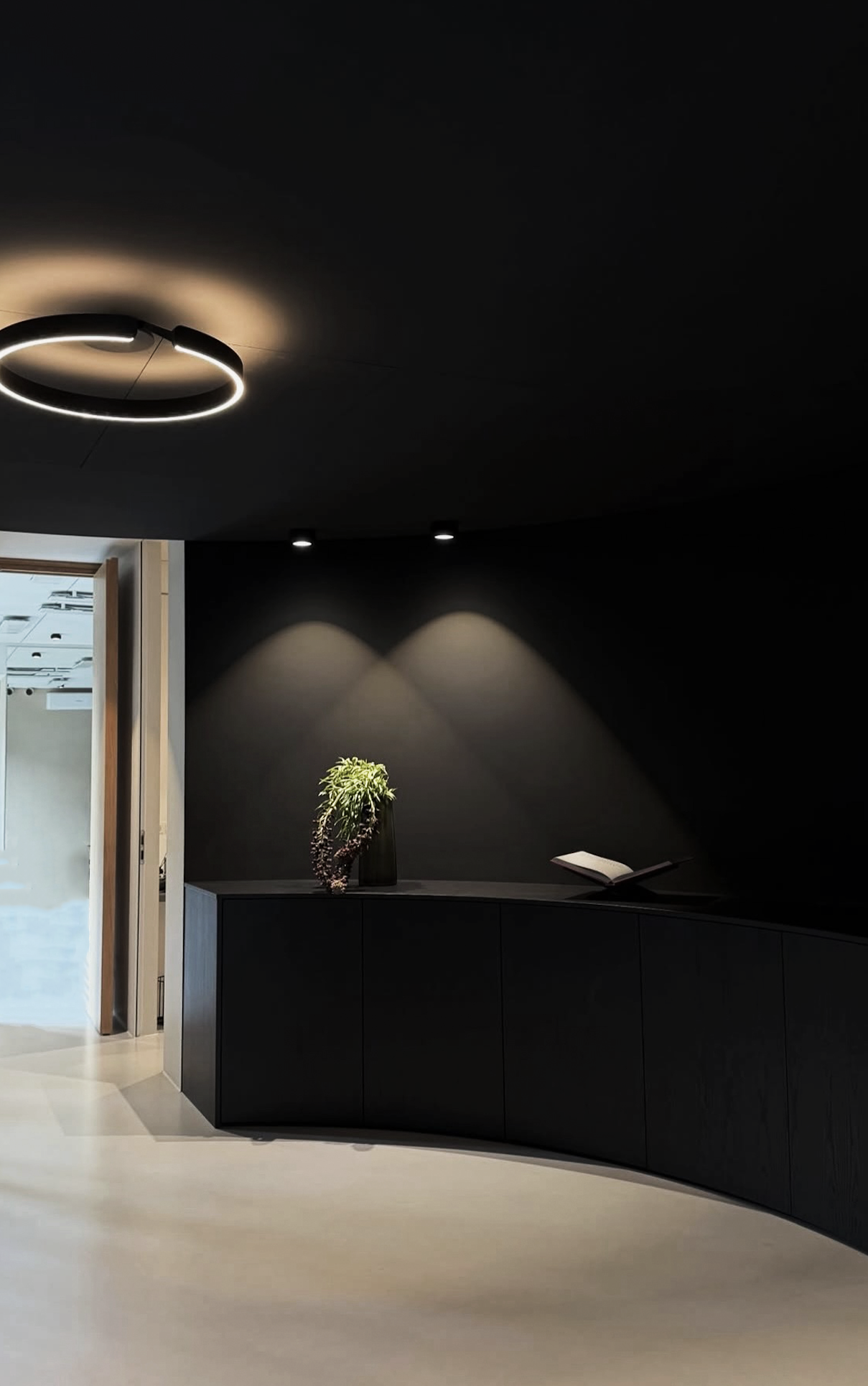 A cared-for Munich space — corridor and reception, considered light